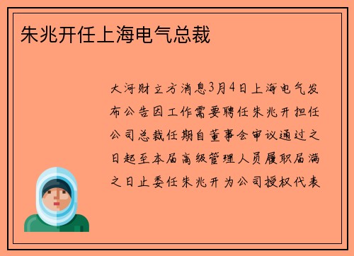 朱兆开任上海电气总裁
