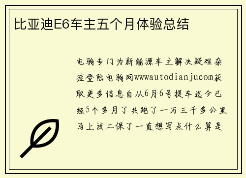 比亚迪E6车主五个月体验总结