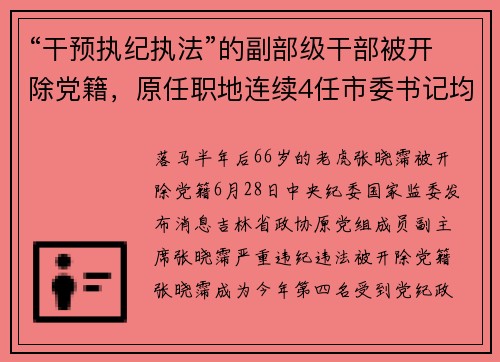 “干预执纪执法”的副部级干部被开除党籍，原任职地连续4任市委书记均已落马