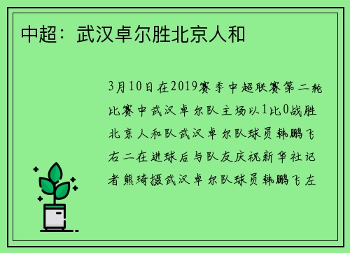 中超：武汉卓尔胜北京人和